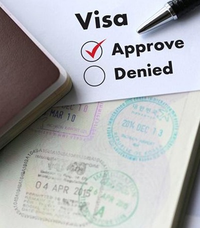 Visa Processing